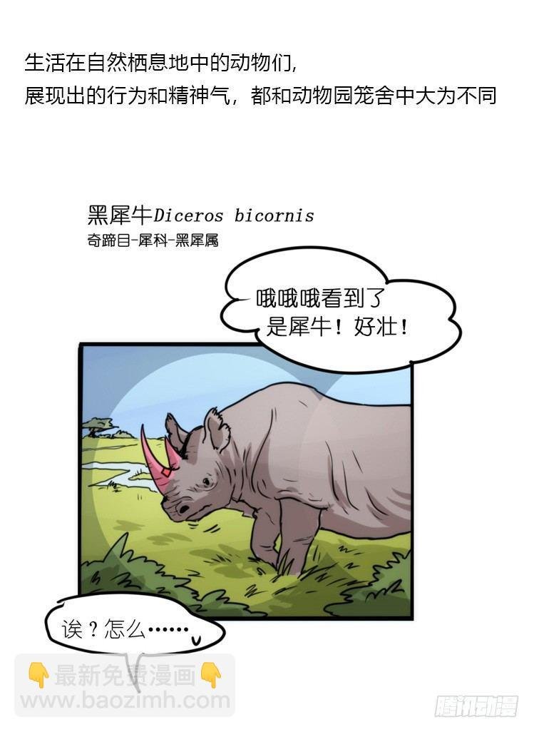 分离+旅行=成长是主旋律