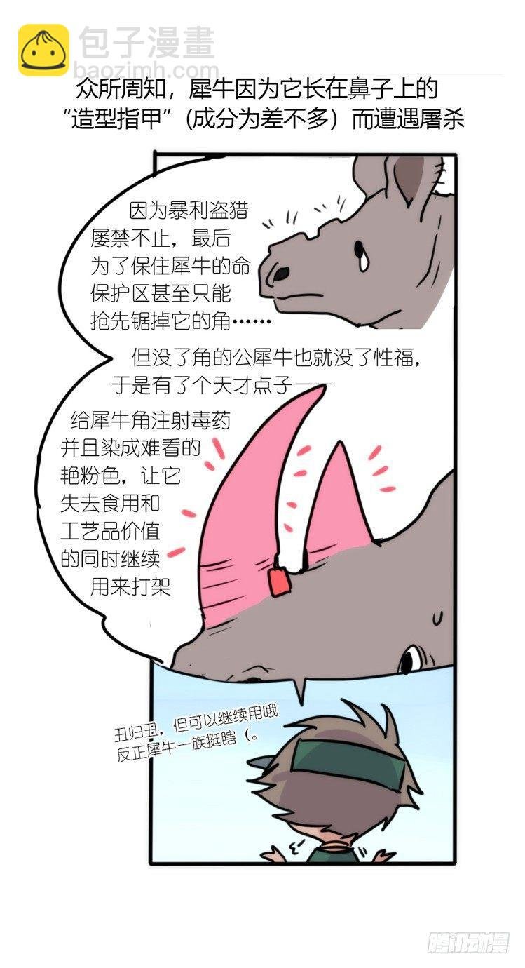 分离+旅行=成长是主旋律