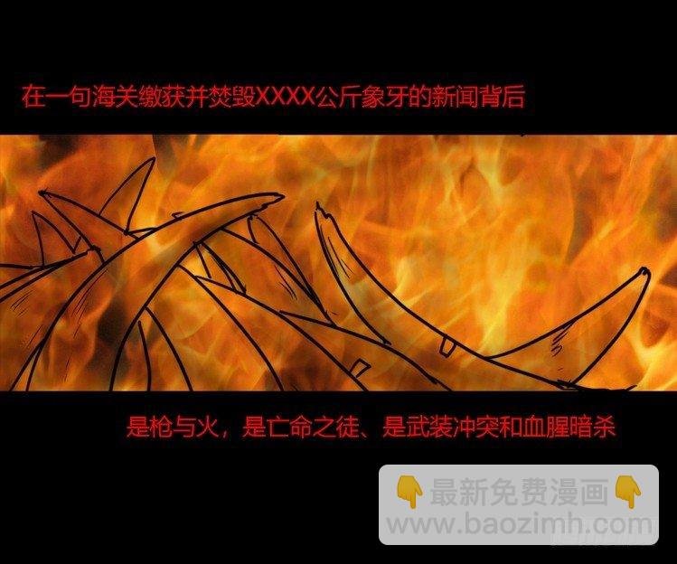 分离+旅行=成长是主旋律
