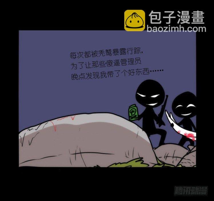 分离+旅行=成长是主旋律