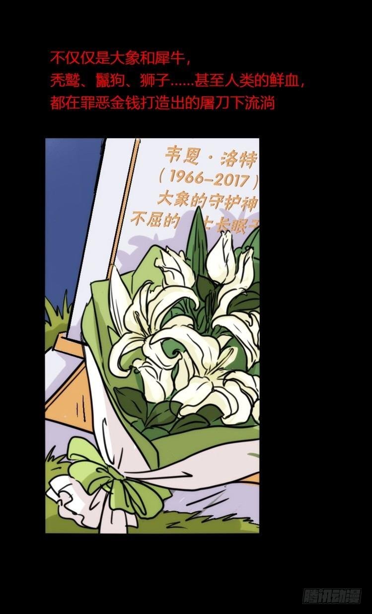 分离+旅行=成长是主旋律