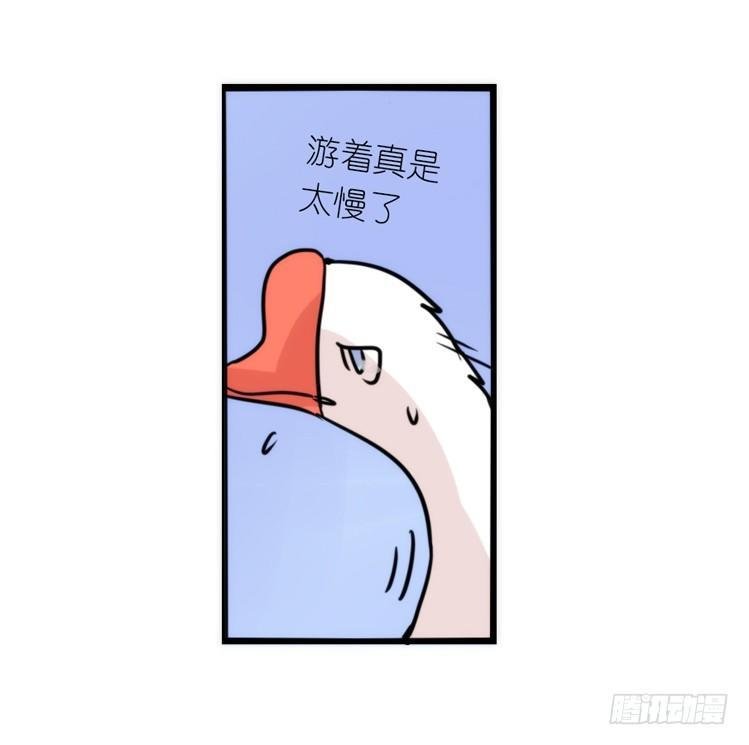 分离+旅行=成长是主旋律