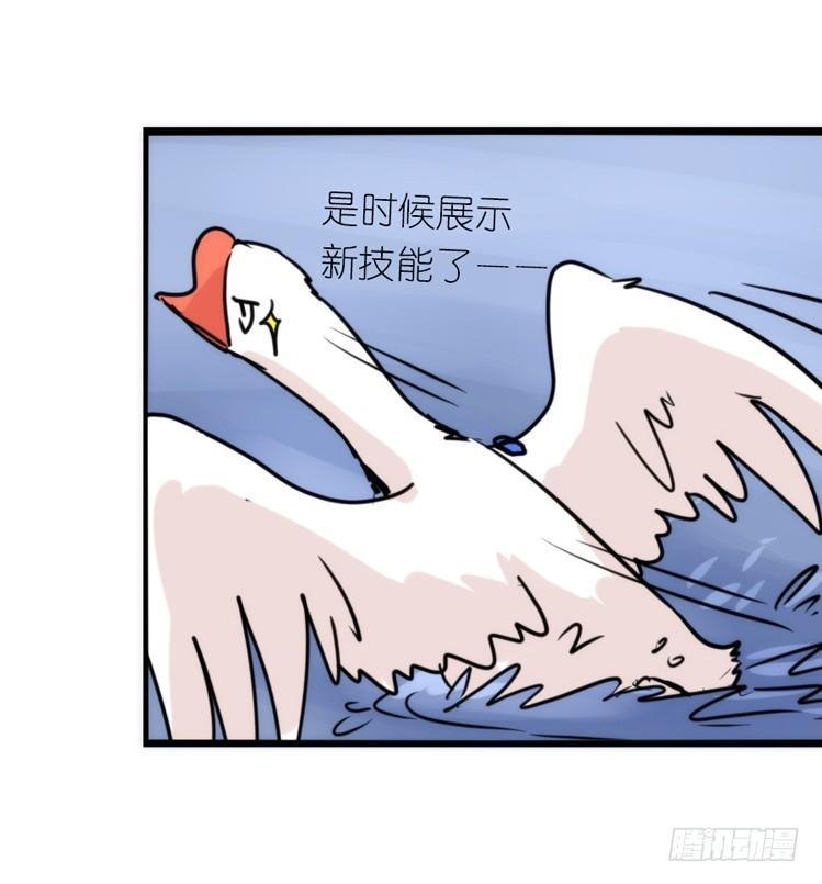 分离+旅行=成长是主旋律