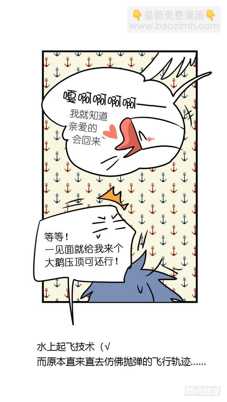 分离+旅行=成长是主旋律