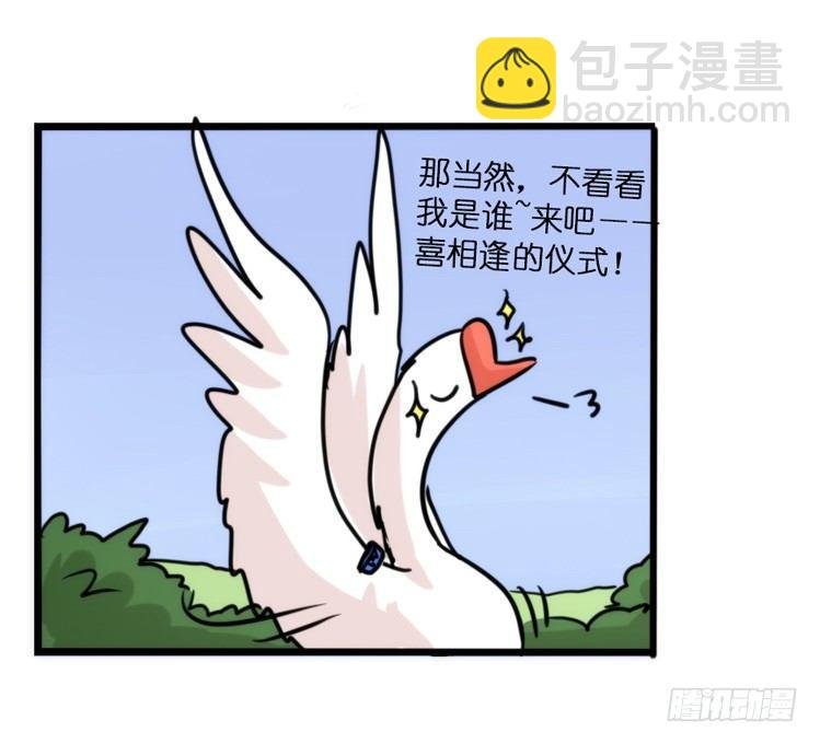 分离+旅行=成长是主旋律
