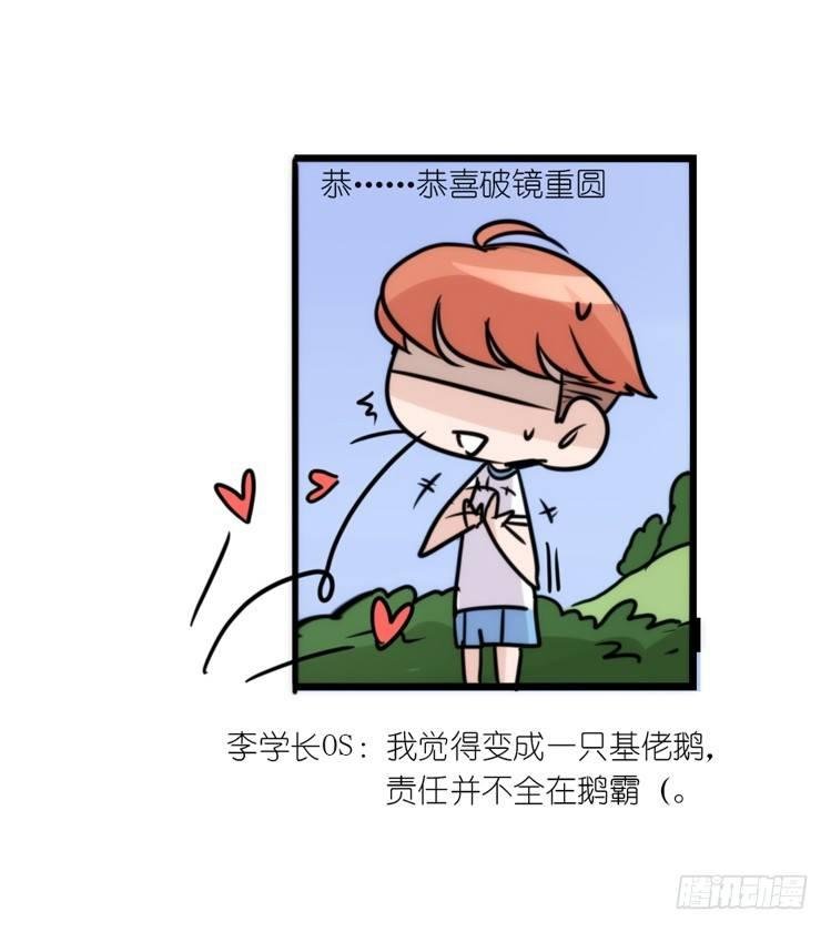 分离+旅行=成长是主旋律