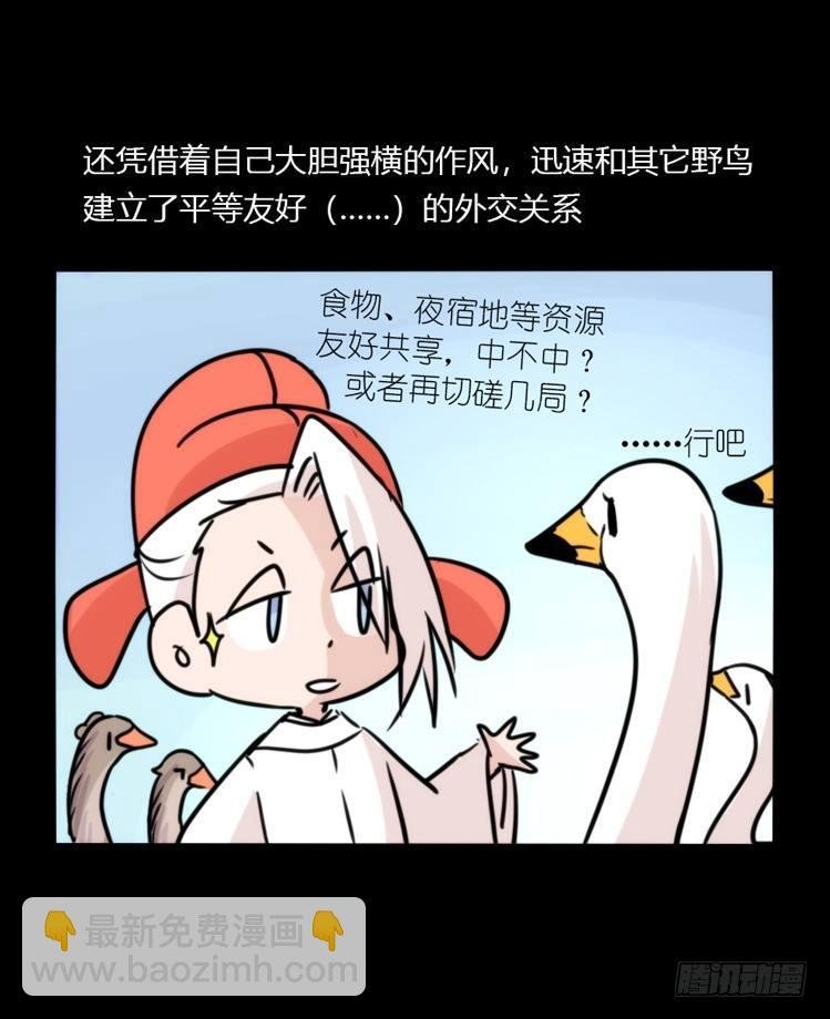 使命篇02：不同的选择