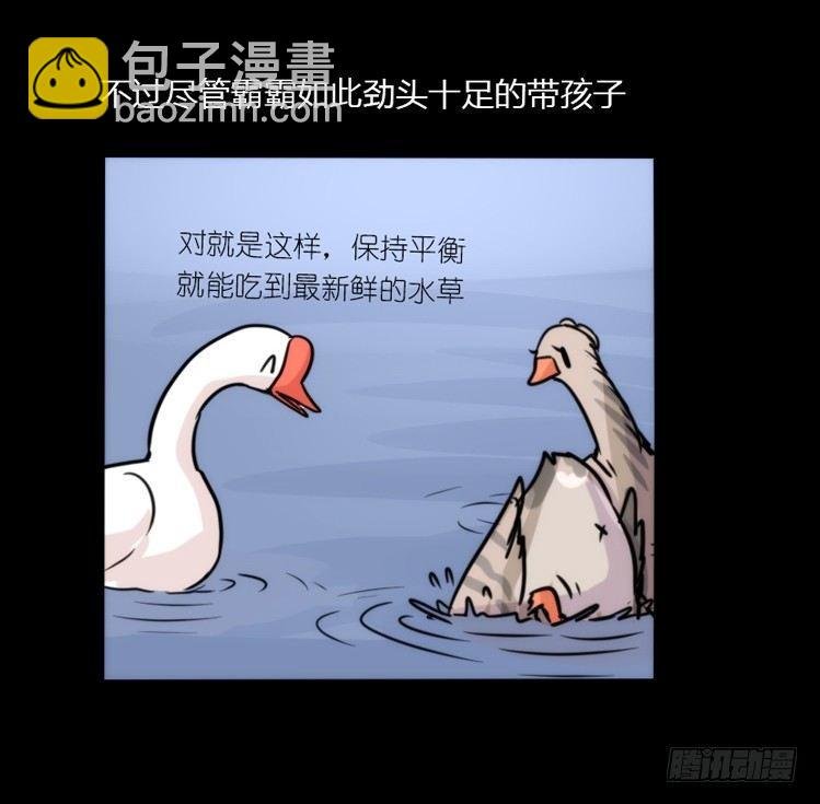 使命篇02：不同的选择