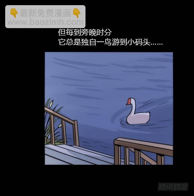 使命篇02：不同的选择