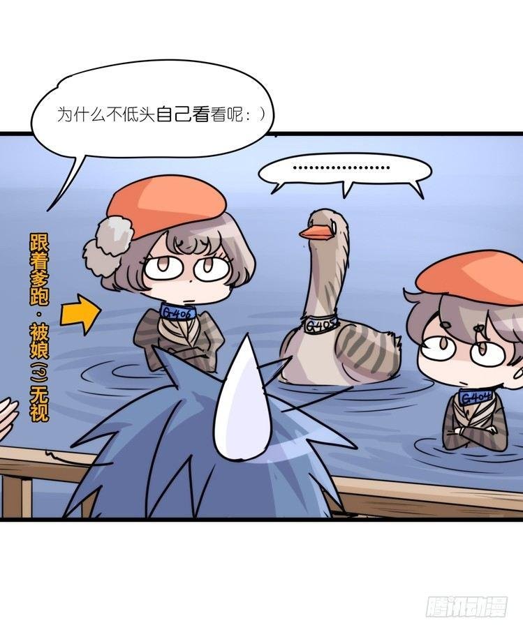 使命篇02：不同的选择