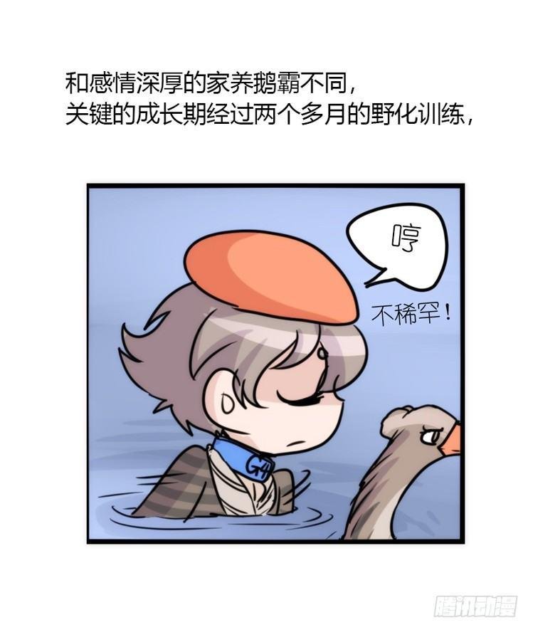 使命篇02：不同的选择