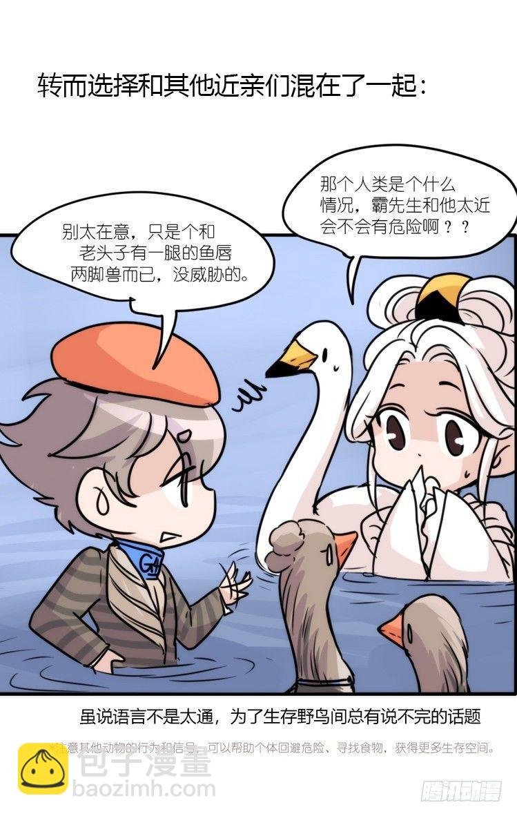 使命篇02：不同的选择