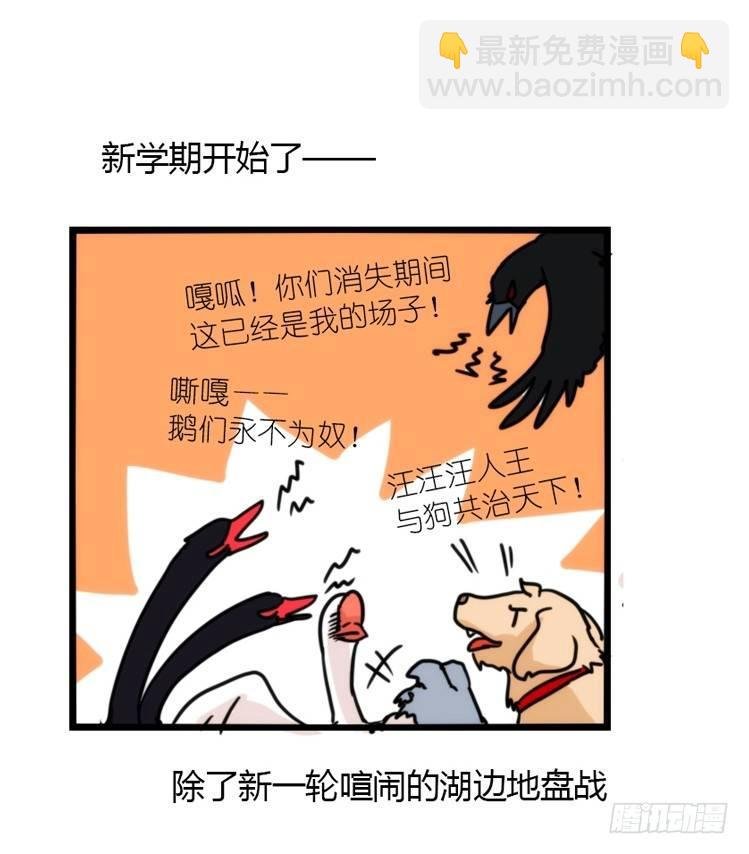 使命篇02：不同的选择