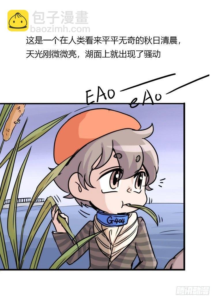 使命篇02：不同的选择