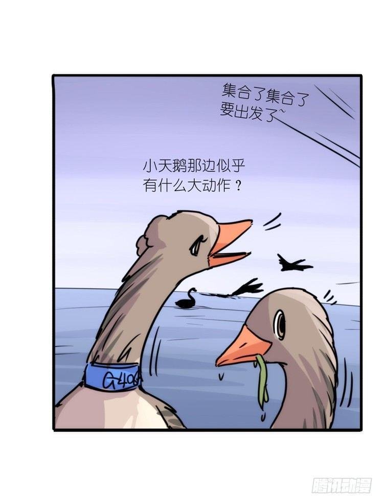 使命篇02：不同的选择