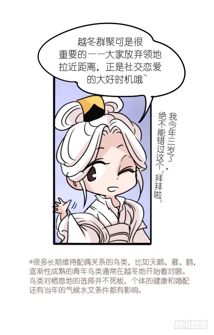 使命篇02：不同的选择