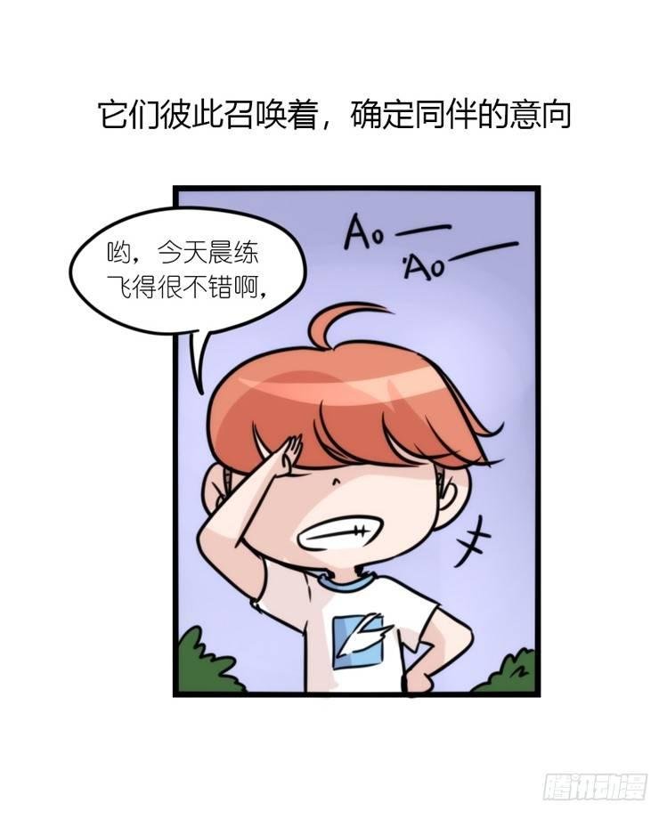 使命篇03：在路上