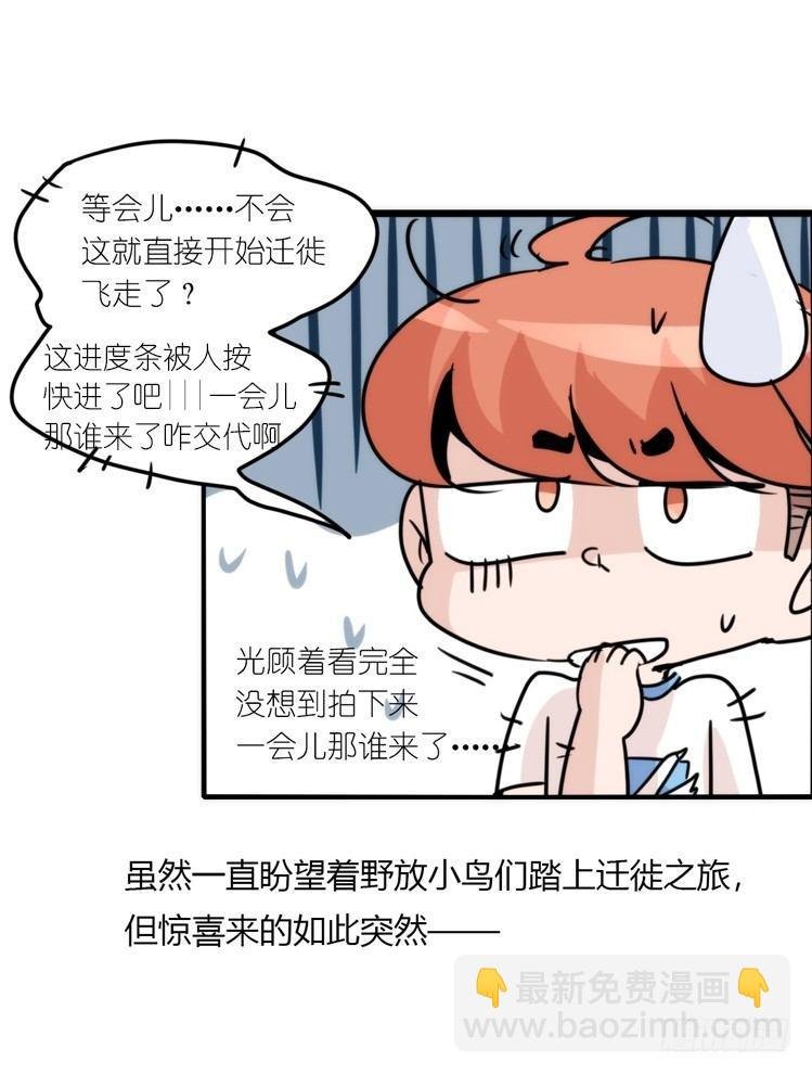 使命篇03：在路上
