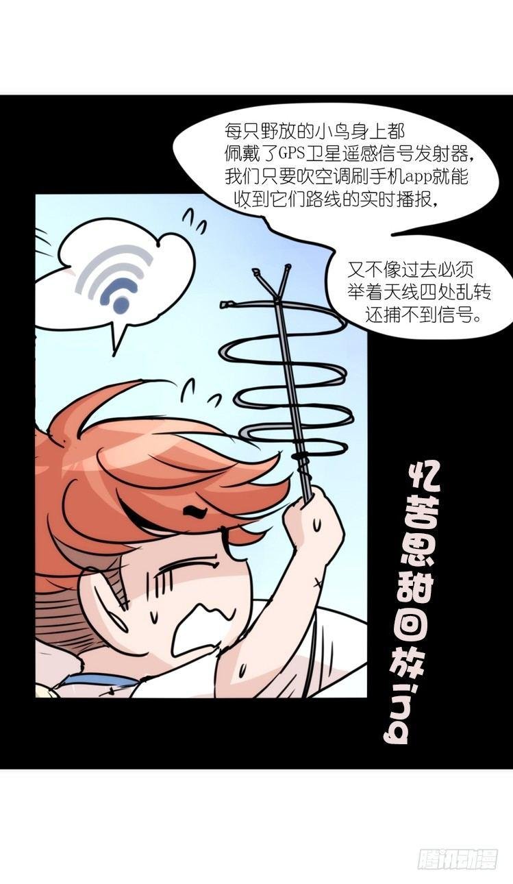 使命篇03：在路上