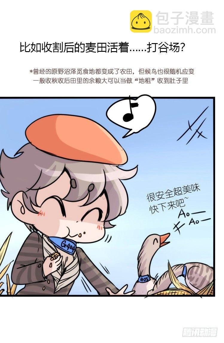 使命篇03：在路上
