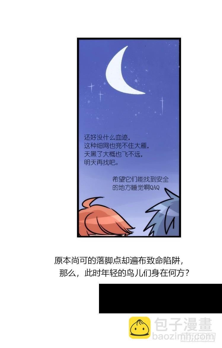 使命篇04：三鸟行必有我师焉