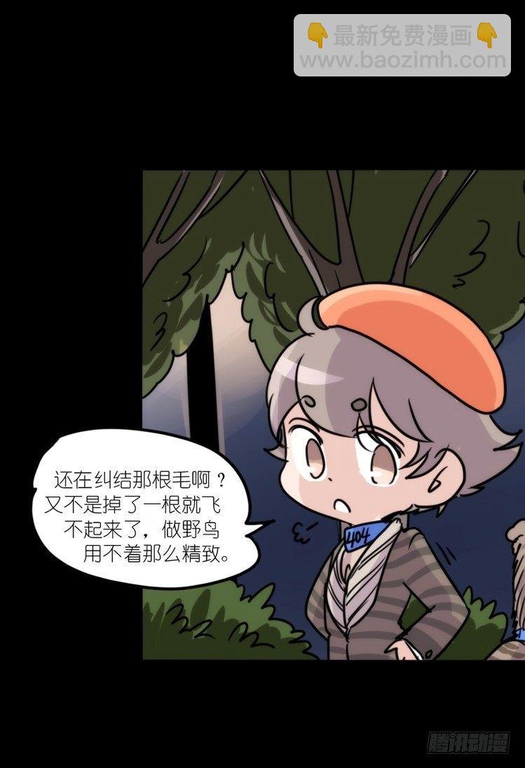 使命篇04：三鸟行必有我师焉