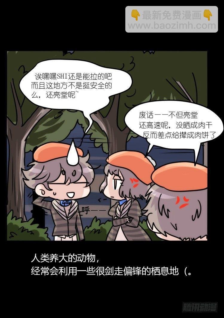 使命篇04：三鸟行必有我师焉