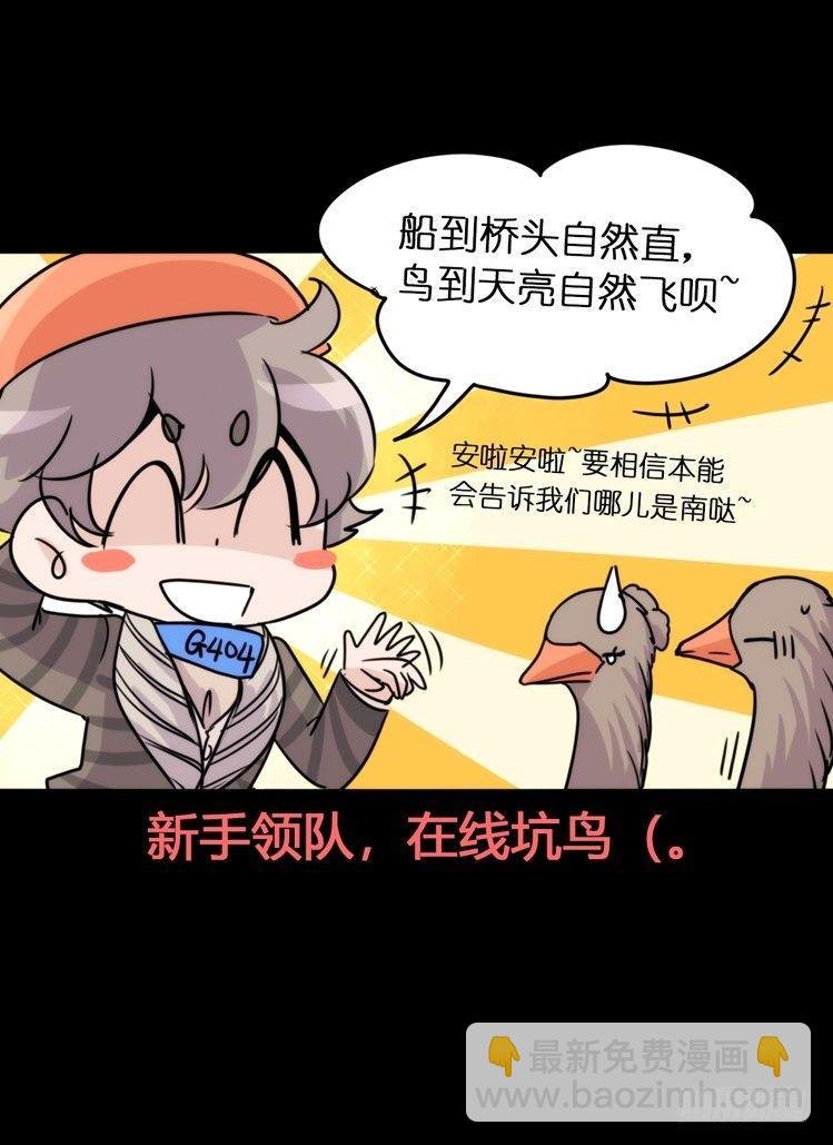 使命篇04：三鸟行必有我师焉