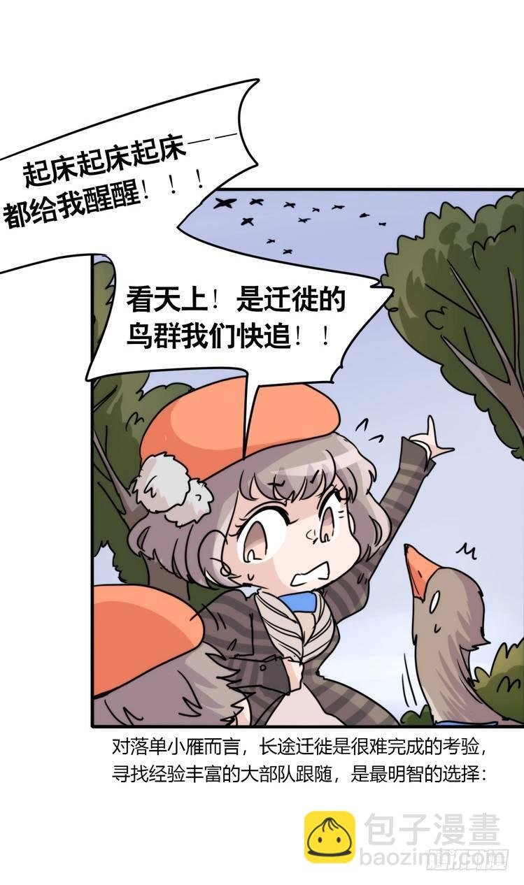 使命篇04：三鸟行必有我师焉