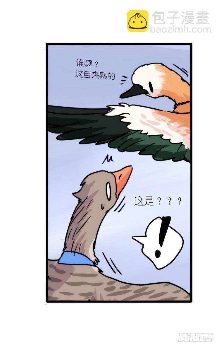 使命篇04：三鸟行必有我师焉
