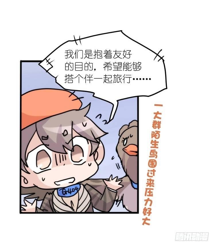 使命篇04：三鸟行必有我师焉