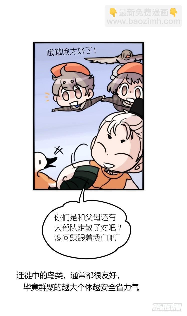 使命篇04：三鸟行必有我师焉