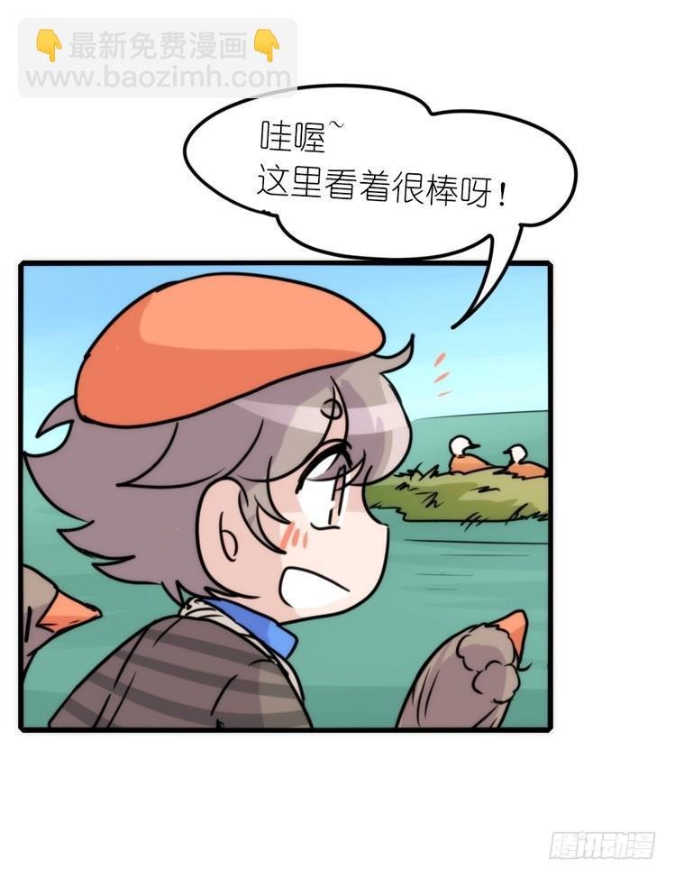 使命篇04：三鸟行必有我师焉