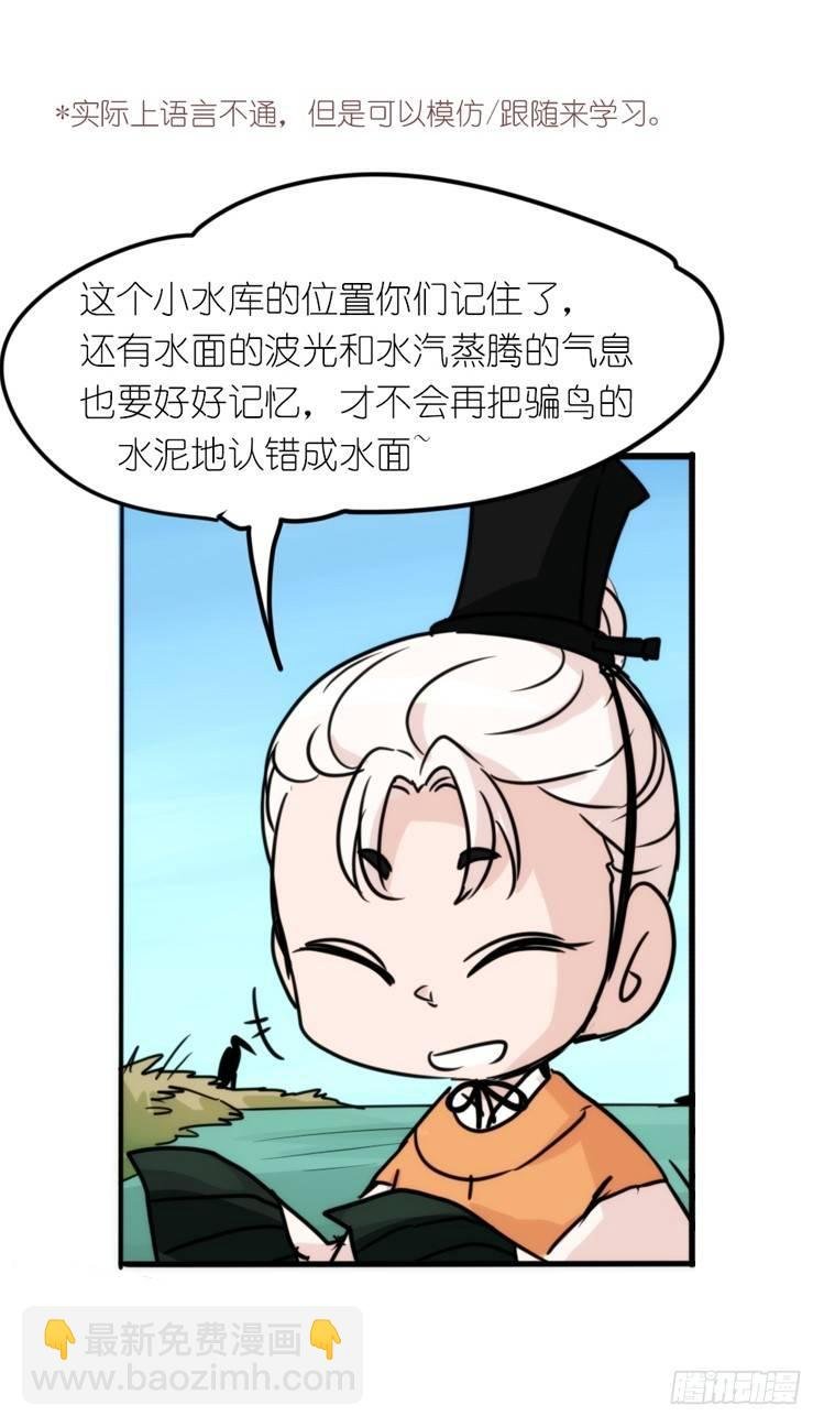 使命篇04：三鸟行必有我师焉