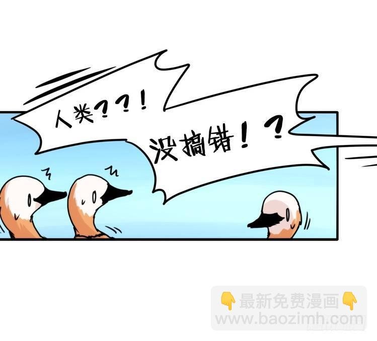 使命篇04：三鸟行必有我师焉