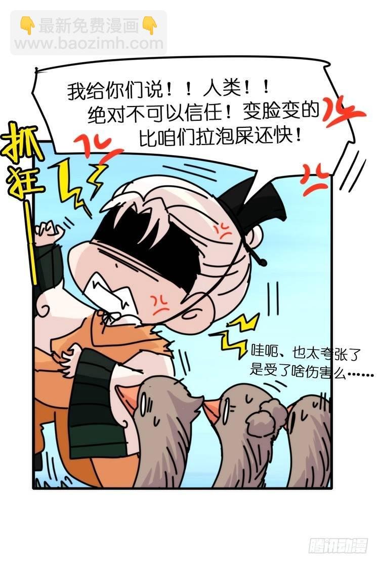 使命篇04：三鸟行必有我师焉