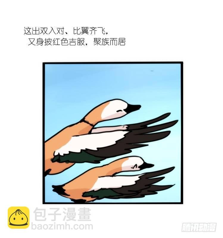 使命篇04：三鸟行必有我师焉