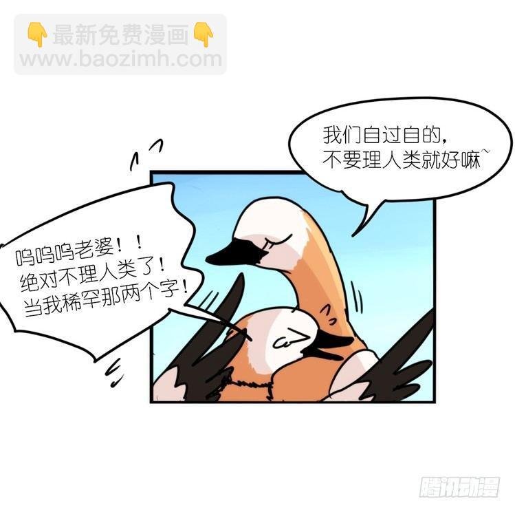 使命篇04：三鸟行必有我师焉