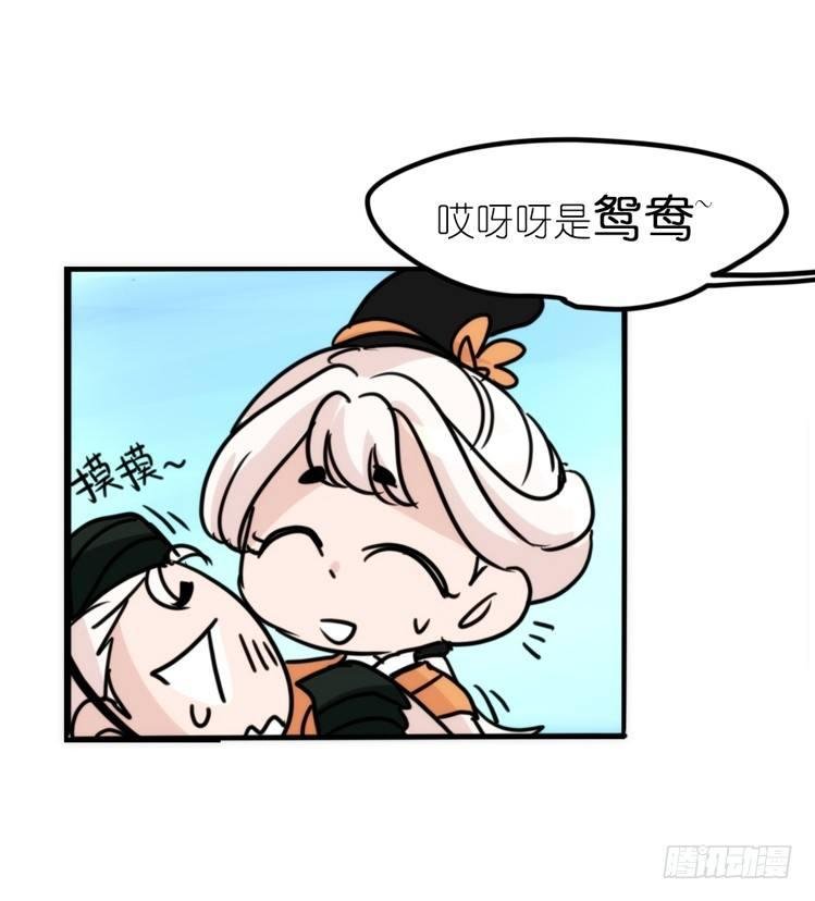 使命篇04：三鸟行必有我师焉