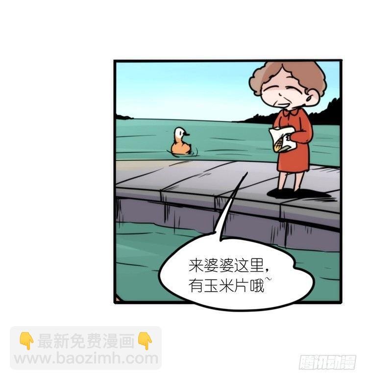 使命篇04：三鸟行必有我师焉
