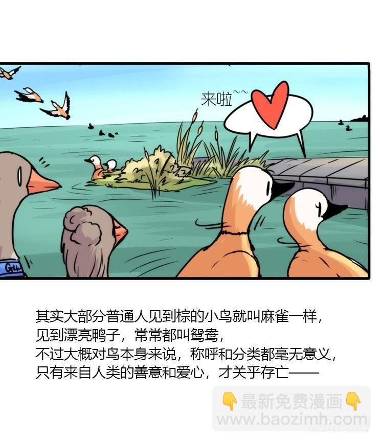 使命篇04：三鸟行必有我师焉