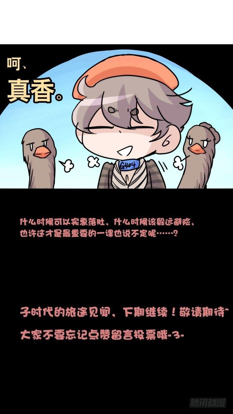 使命篇04：三鸟行必有我师焉