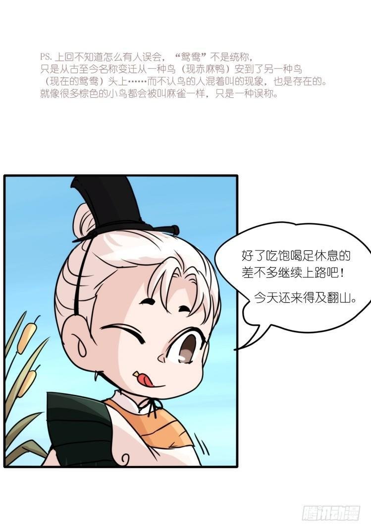 使命篇05：鸟眼看人奇