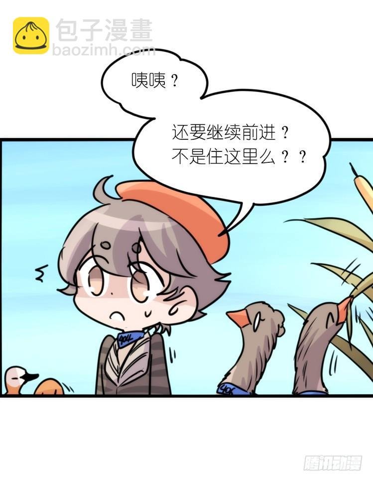 使命篇05：鸟眼看人奇