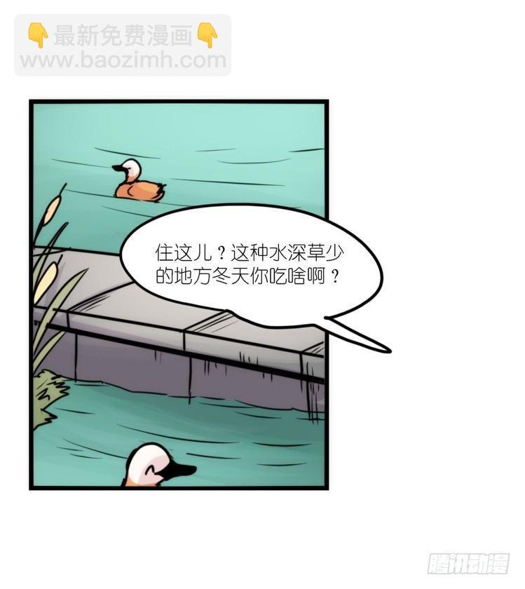 使命篇05：鸟眼看人奇