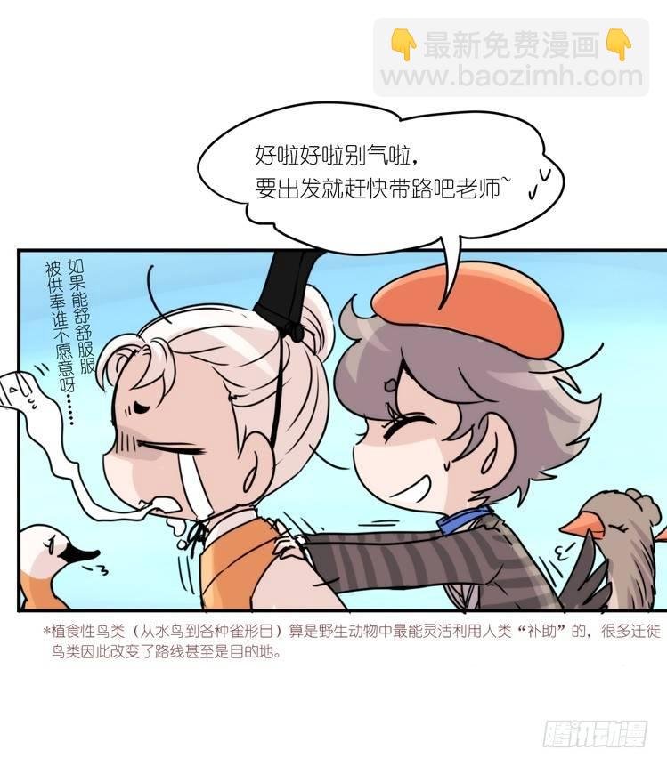 使命篇05：鸟眼看人奇
