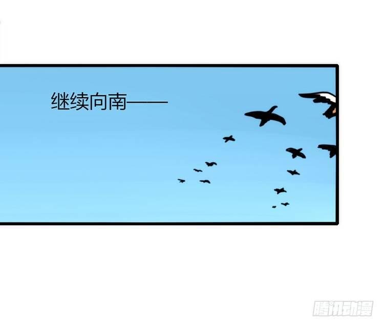 使命篇05：鸟眼看人奇