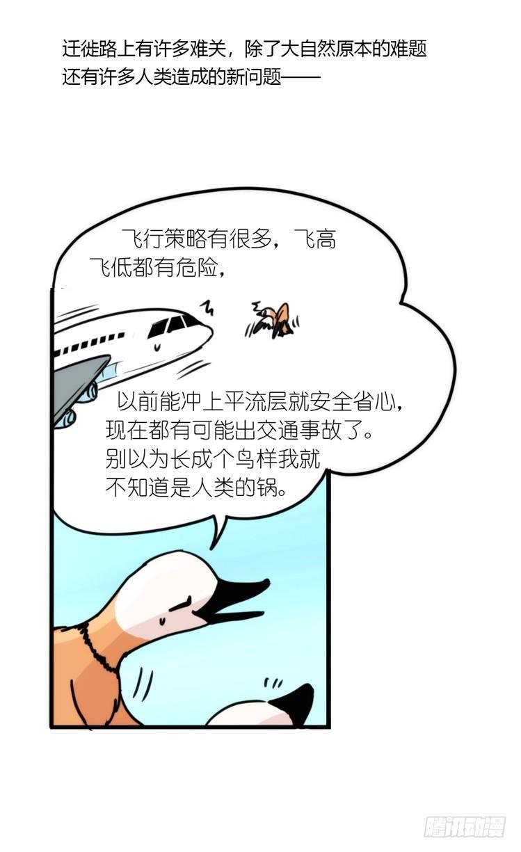 使命篇05：鸟眼看人奇
