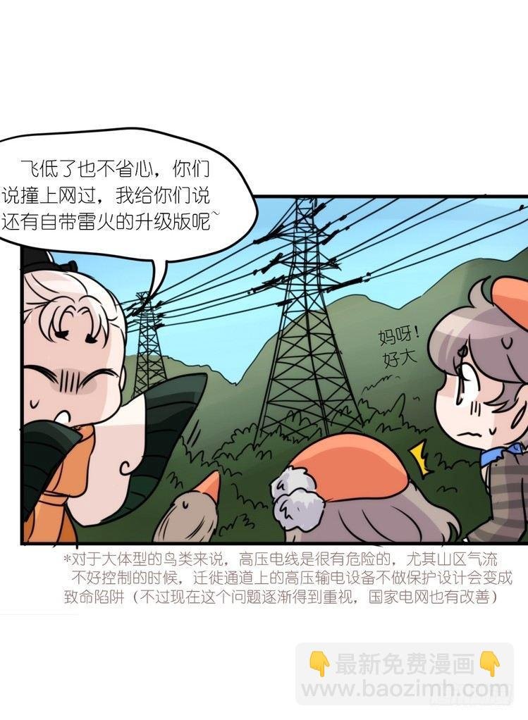 使命篇05：鸟眼看人奇