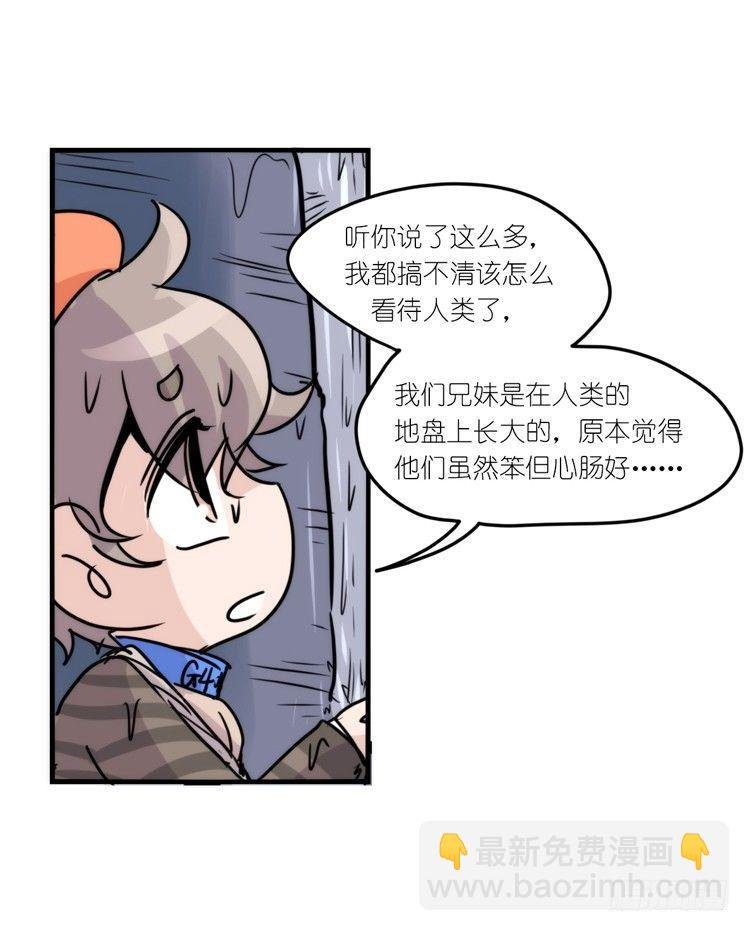 使命篇05：鸟眼看人奇